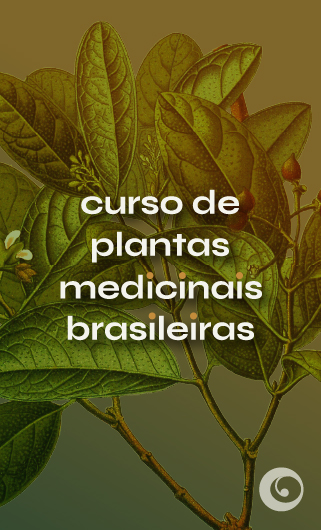 NILAYA - CURSO PLANTAS MEDICINAIS BRASILEIRAS