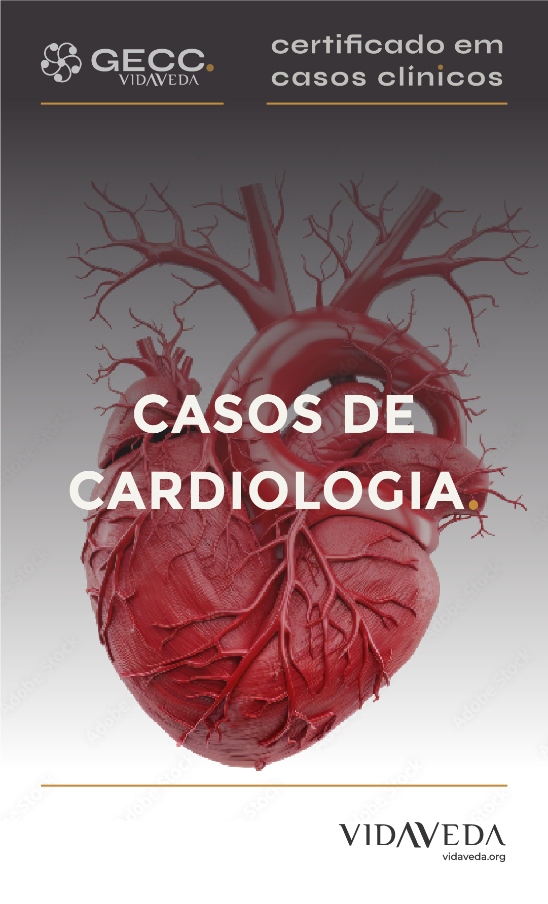 GECC - CASOS DE CARDIOLOGIA