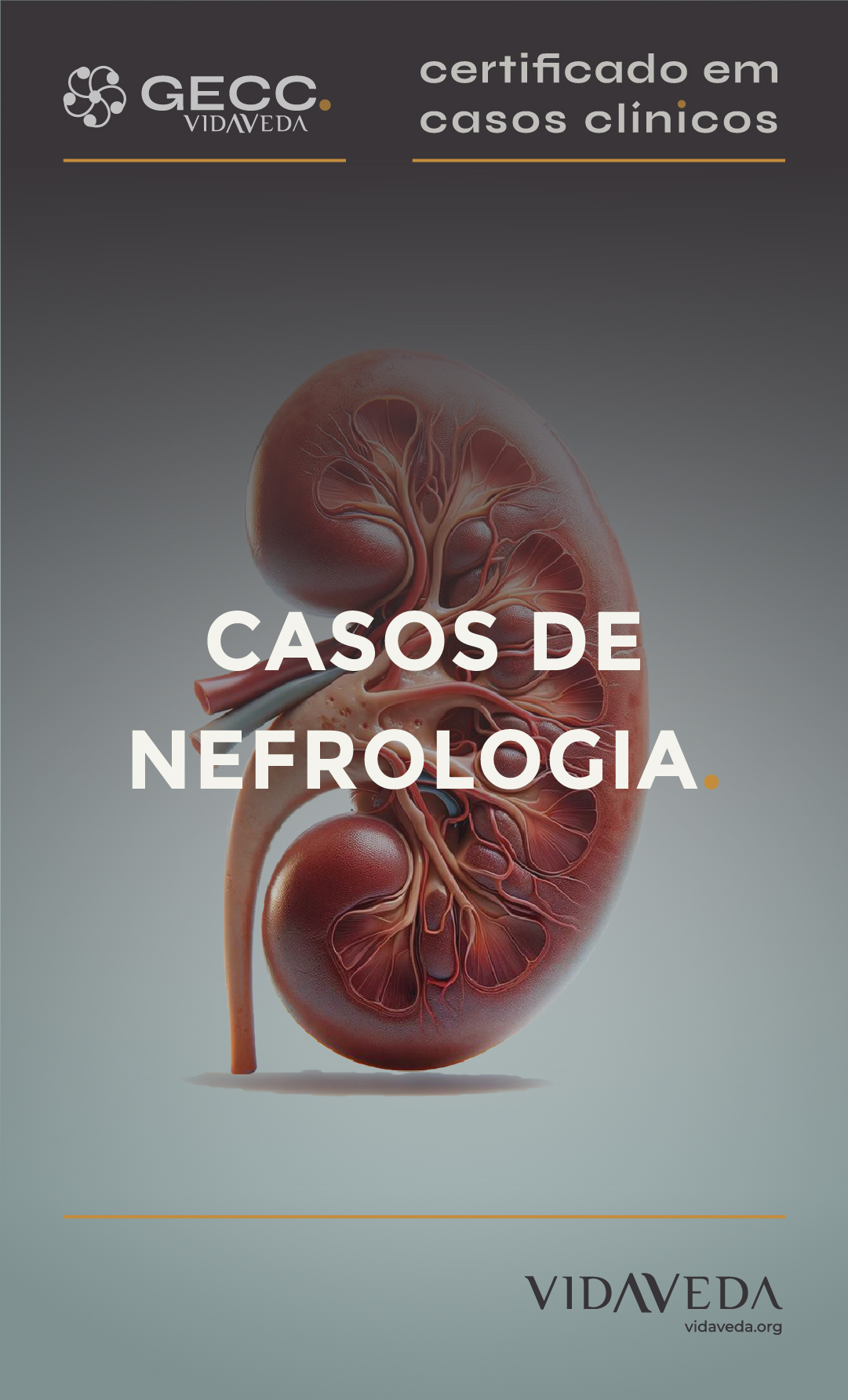 GECC - CASOS DE NEFROLOGIA